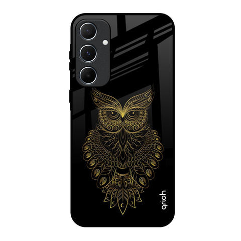 Golden Owl Glossy Case for Samsung Galaxy A55 5G