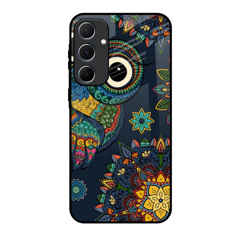 Owl Art Glossy Case for Samsung Galaxy A55 5G