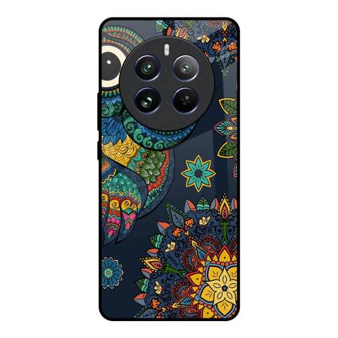Owl Art Glossy Case for Realme 12 Pro Plus 5G