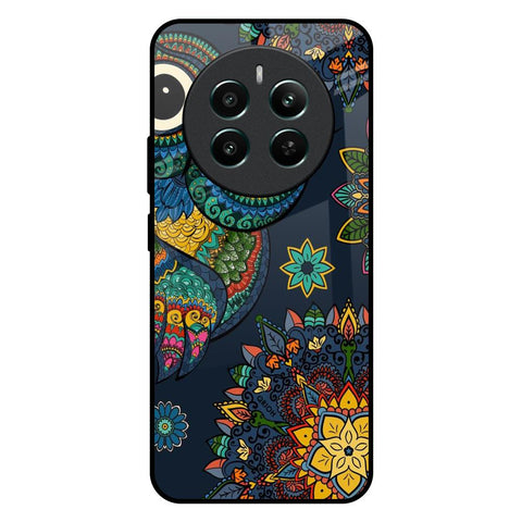 Owl Art Glossy Case for Realme 12 Plus 5G