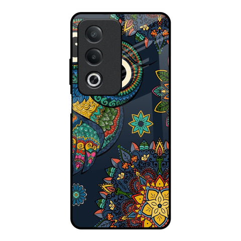 Owl Art Glossy Case for OPPO A3 Pro 5G