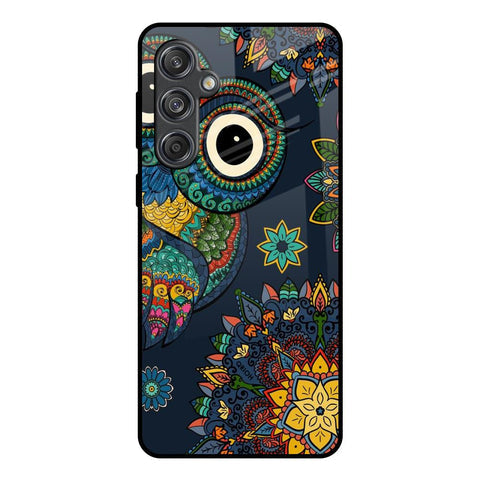 Owl Art Glossy Case for Samsung Galaxy M55 5G