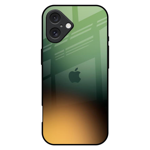 Blurry Forest Glossy Case for iPhone 16 Plus