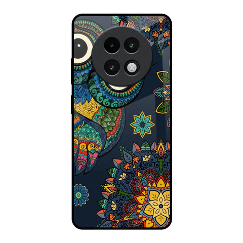 Owl Art Glossy Case for Realme 13 Plus 5G