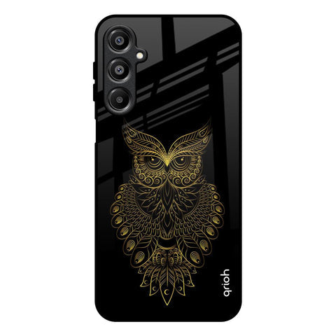 Golden Owl Glossy Case for Samsung Galaxy A16 5G