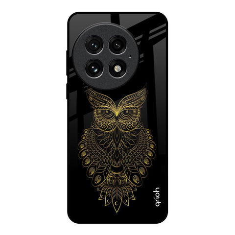 Golden Owl Glossy Case for OnePlus 13