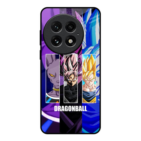 DGBZ Glossy Case for OnePlus 13