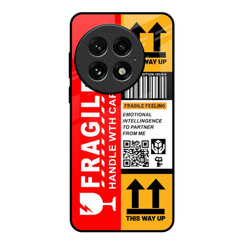 Handle With Care Glossy Case for OnePlus 13