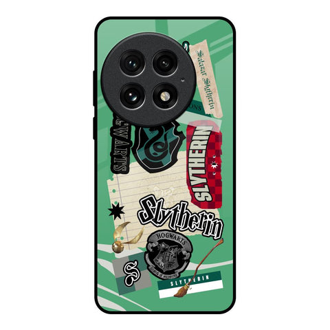 Slytherin Glossy Case for OnePlus 13