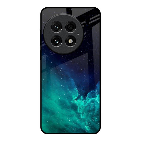 Winter Sky Zone Glossy Case For OnePlus 13