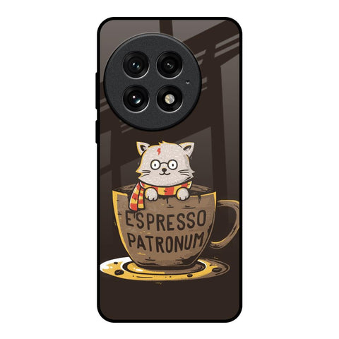 Tea With Kitty Glossy Case For OnePlus 13