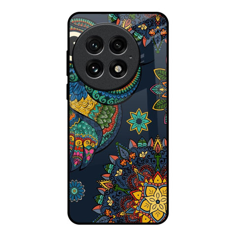 Owl Art Glossy Case for OnePlus 13