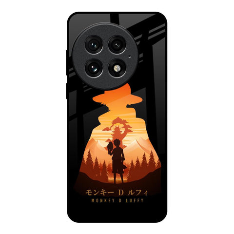 Luffy One Piece Glossy Case for OnePlus 13