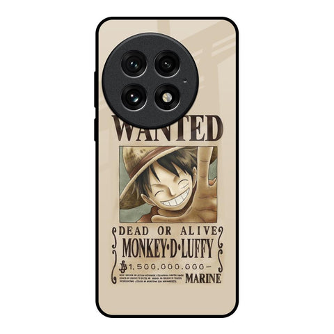 Luffy Wanted Glossy Case for OnePlus 13