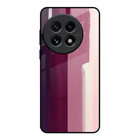 Brush Stroke Art Glossy Case for OnePlus 13
