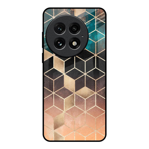 Bronze Texture Glossy Case for OnePlus 13