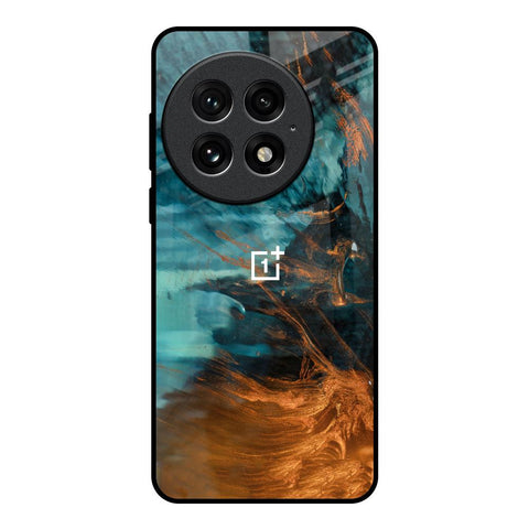 Golden Splash Glossy Case for OnePlus 13