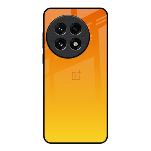 Sunset Glossy Case for OnePlus 13