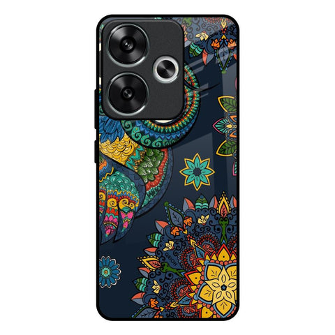 Owl Art Glossy Case for Poco F6 5G