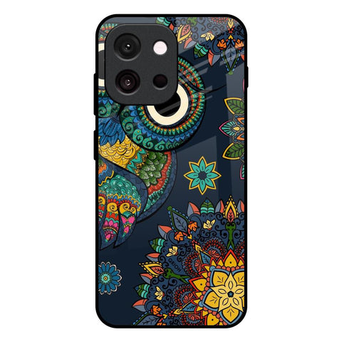 Owl Art Glossy Case for OnePlus 13T 5G