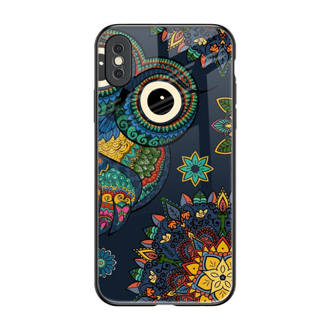 Owl Art Glossy Case for iPhone XS Max