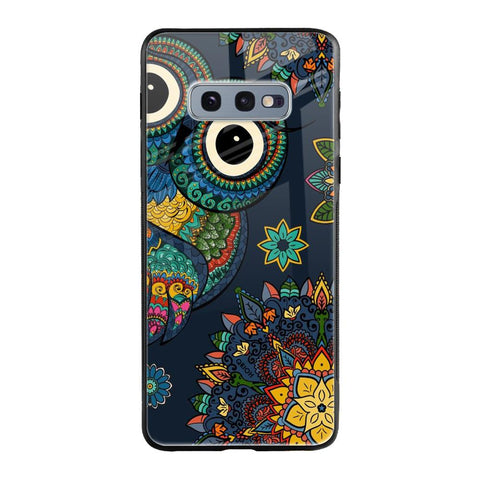 Owl Art Glossy Case for Samsung Galaxy S10E