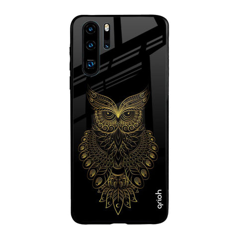 Golden Owl Glossy Case for Huawei P30 Pro