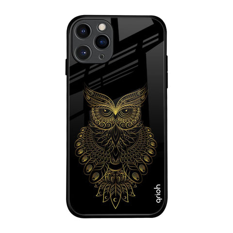 Golden Owl Glossy Case for iPhone 11 Pro