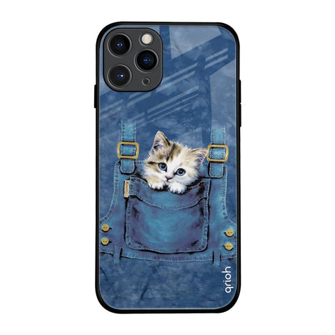 Kitty In Pocket Glossy Case For iPhone 11 Pro