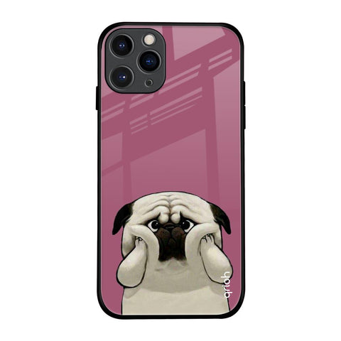 Funny Pug Face Glossy Case For iPhone 11 Pro