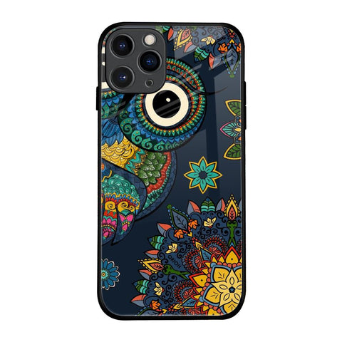 Owl Art Glossy Case for iPhone 11 Pro
