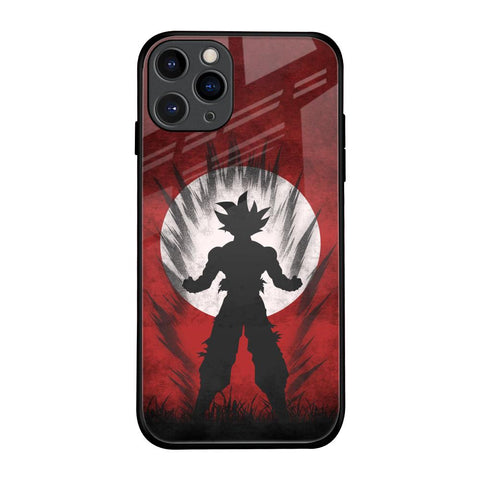 Japanese Animated Glossy Case for iPhone 11 Pro