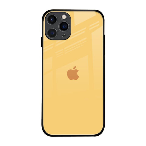 Dandelion Glossy Case for iPhone 11 Pro