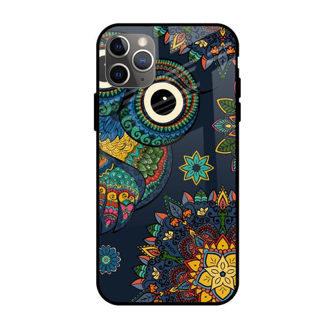 Owl Art Glossy Case for Apple iPhone 11 Pro