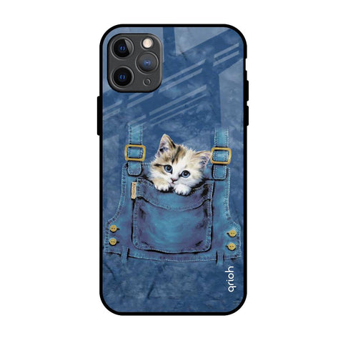 Kitty In Pocket Glossy Case For iPhone 11 Pro Max
