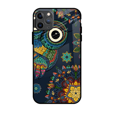 Owl Art Glossy Case for iPhone 11 Pro Max