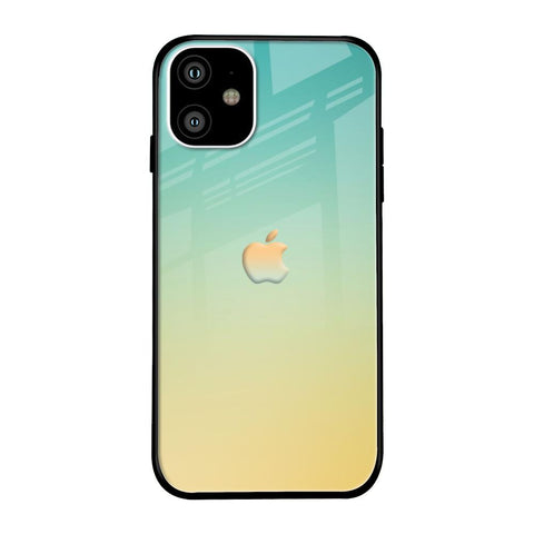 Cool Breeze Glossy case for iPhone 11