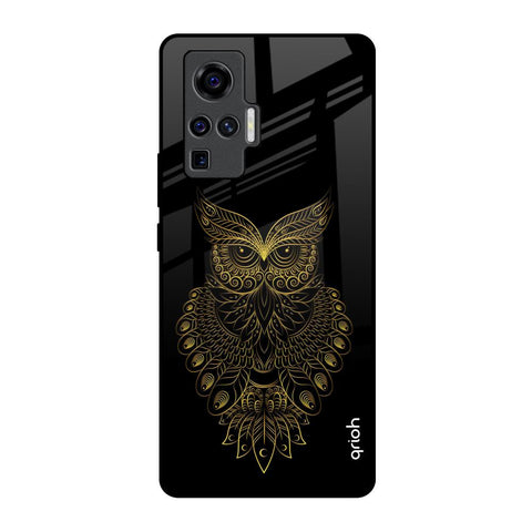 Golden Owl Glossy Case for Vivo X50 Pro