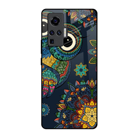 Owl Art Glossy Case for Vivo X50 Pro
