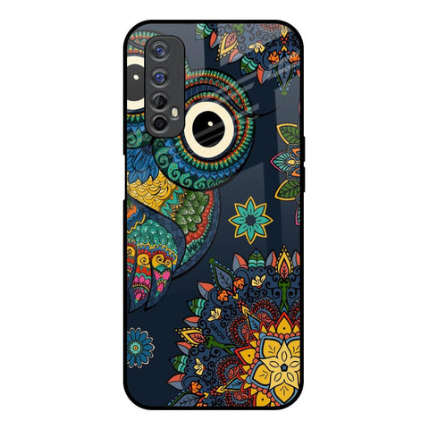 Owl Art Glossy Case for Realme Narzo 20 Pro
