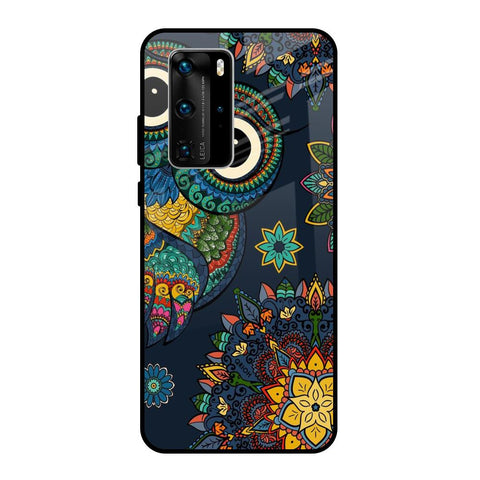 Owl Art Glossy Case for Huawei P40 Pro