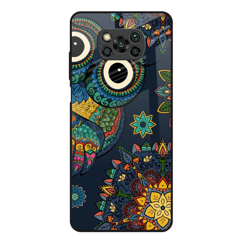 Owl Art Glossy Case for Poco X3