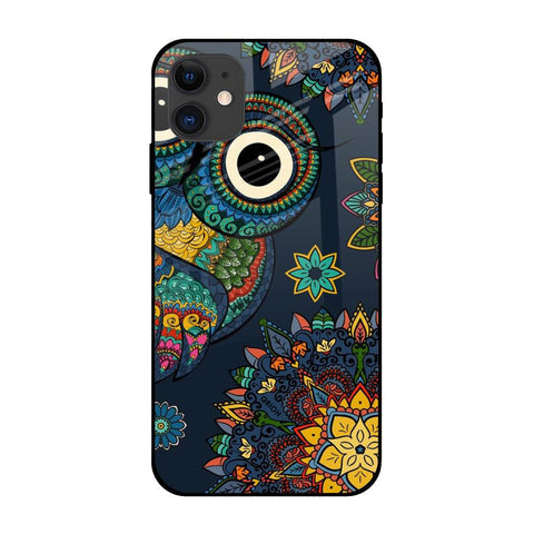 Owl Art Glossy Case for Apple iPhone 12 Mini