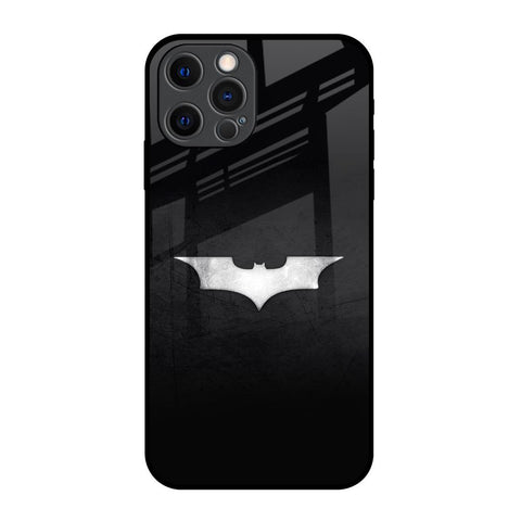 Super Hero Logo Glossy Case for iPhone 12 Pro
