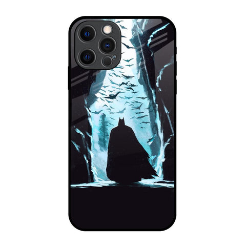 Dark Man In Cave Glossy Case for iPhone 12 Pro