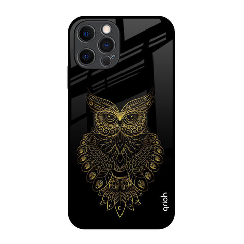 Golden Owl Glossy Case for iPhone 12 Pro