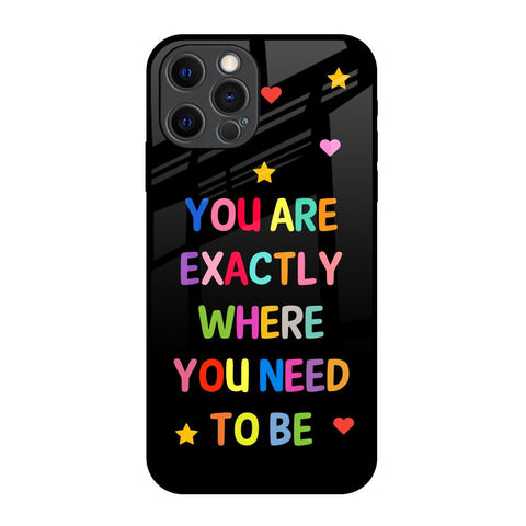 Magical Words Glossy Case for iPhone 12 Pro