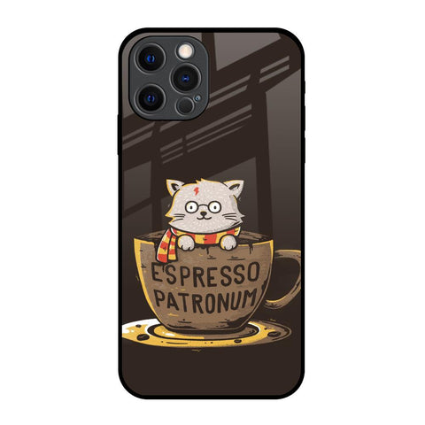 Tea With Kitty Glossy Case For iPhone 12 Pro