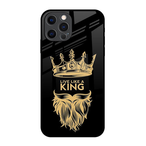 King Life Glossy Case For iPhone 12 Pro