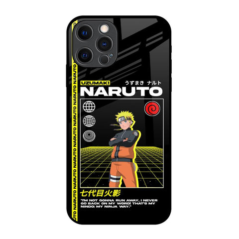Ninja Way Glossy Case for iPhone 12 Pro